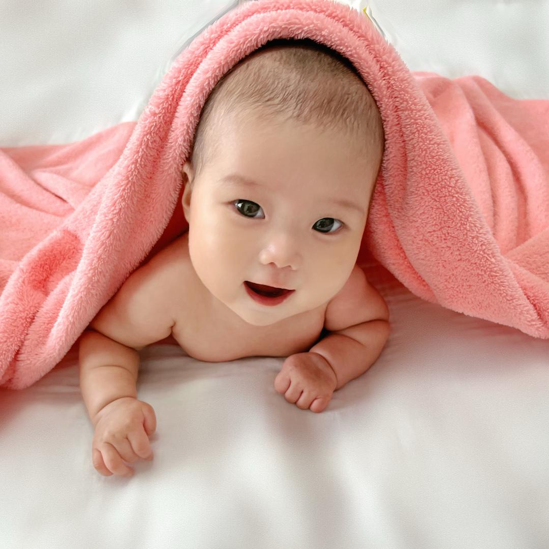 念宝饱🍼