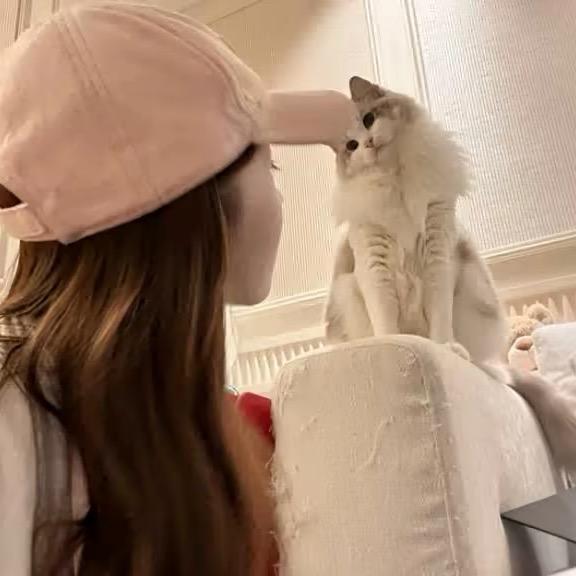 人讲的话就像刀刃