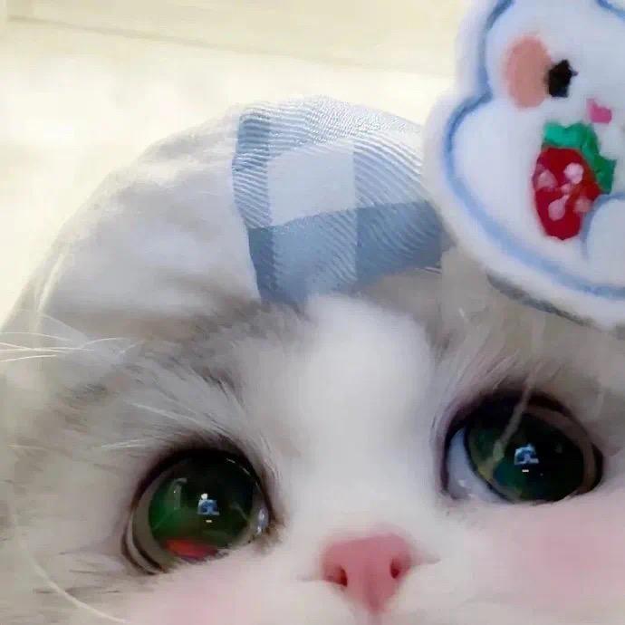 昆凌