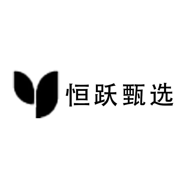 恒跃甄选