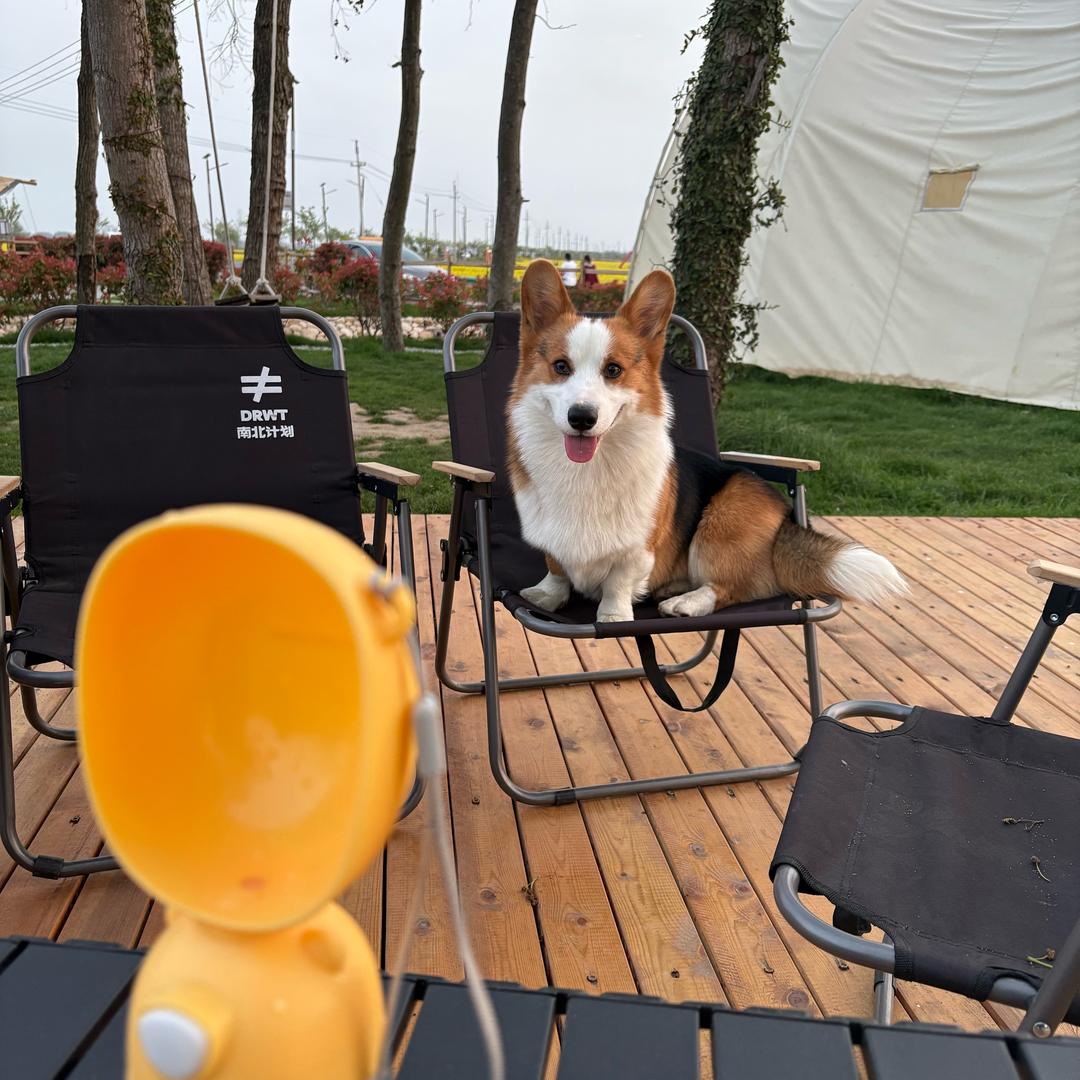 喝前摇一姚女士