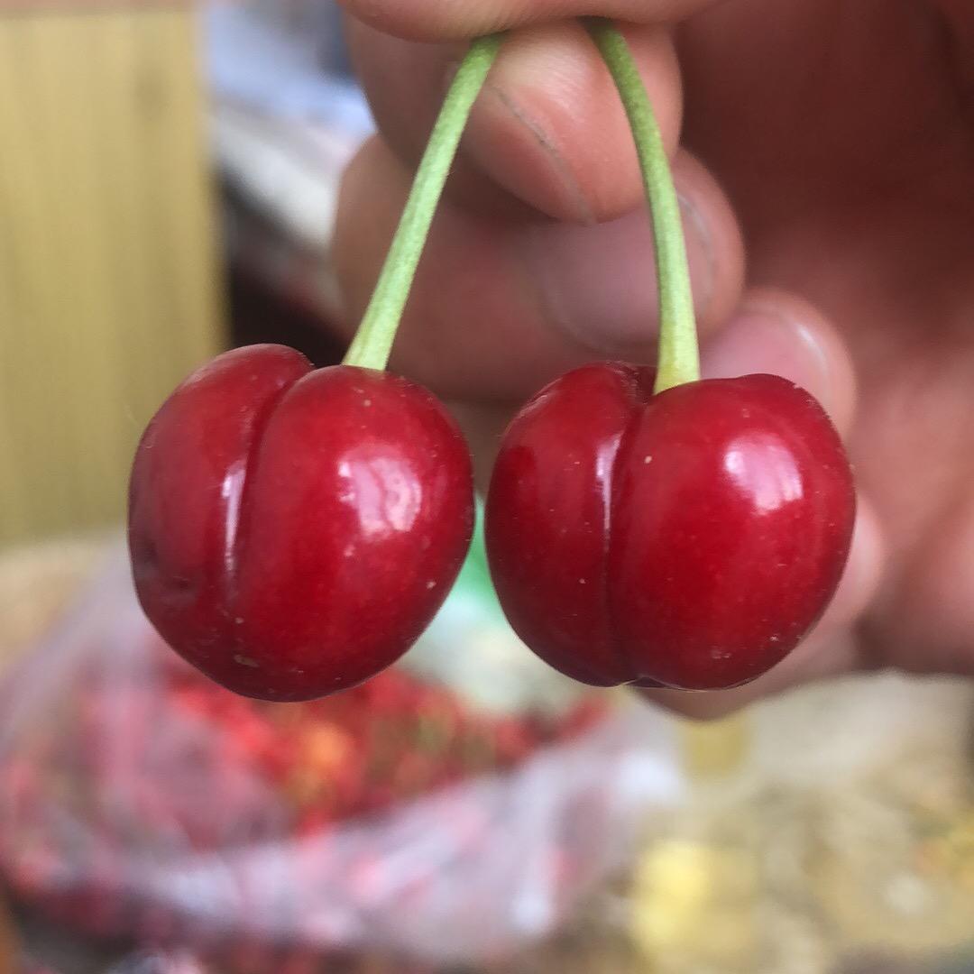 小马哥.工艺品