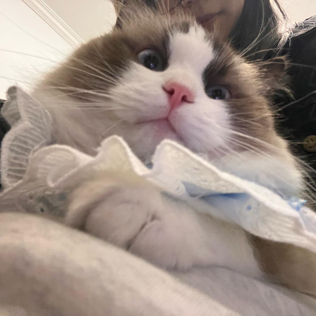 我说：
