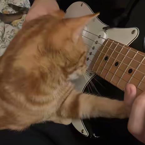 🎸