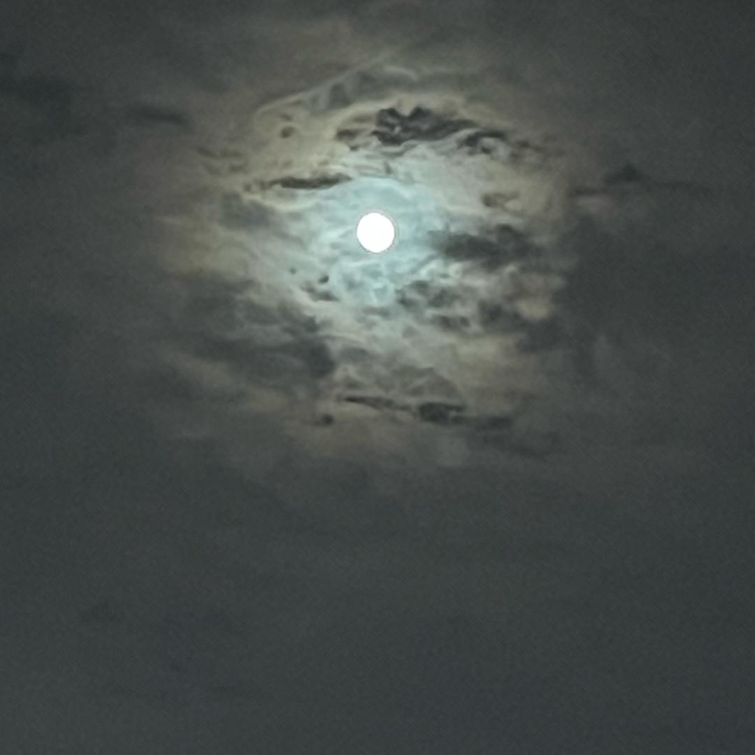 林青‍