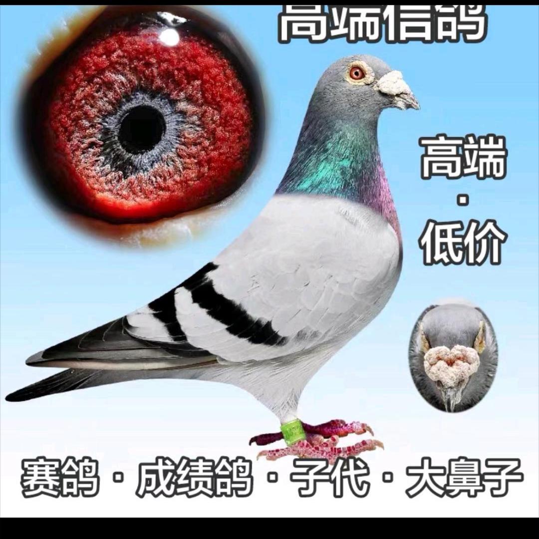 农村人。