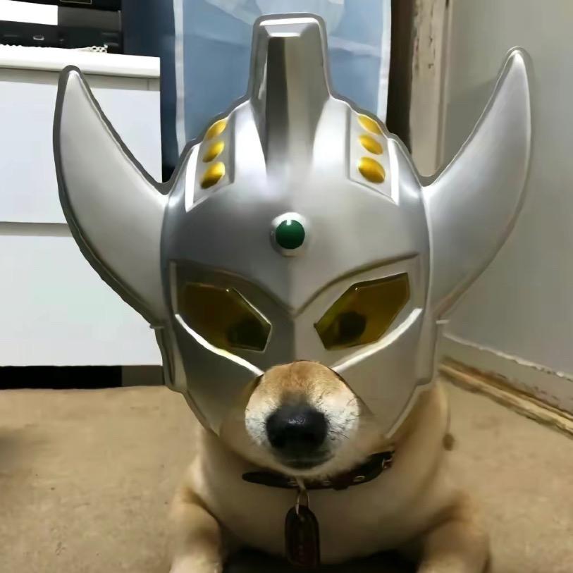 莫名其缪