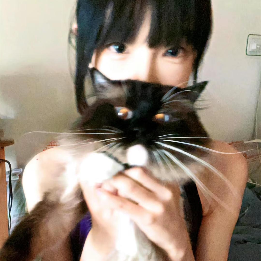 纯情猪八戒