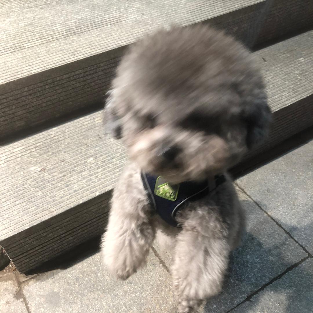 眼镜盒张开了嘴巴