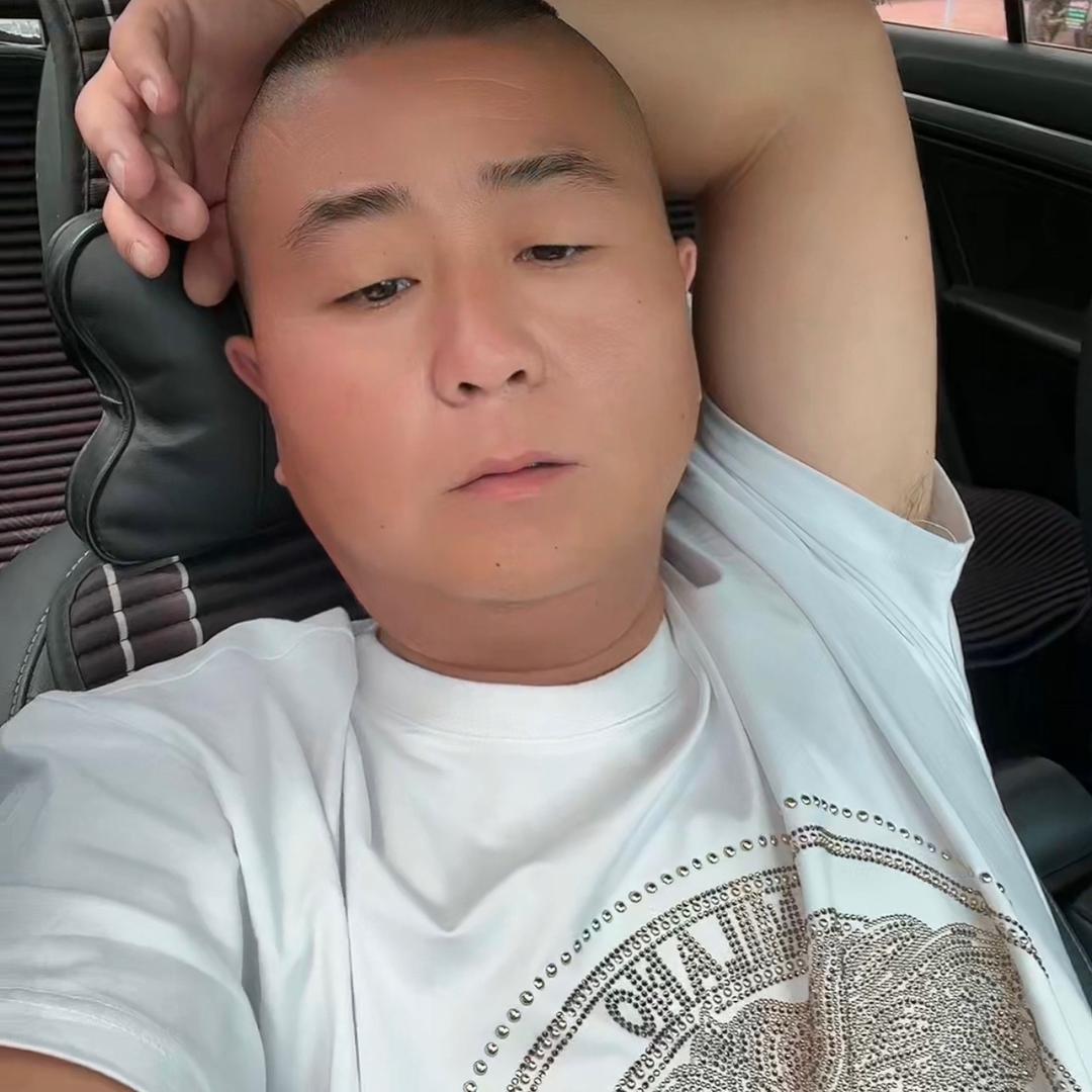 段豹