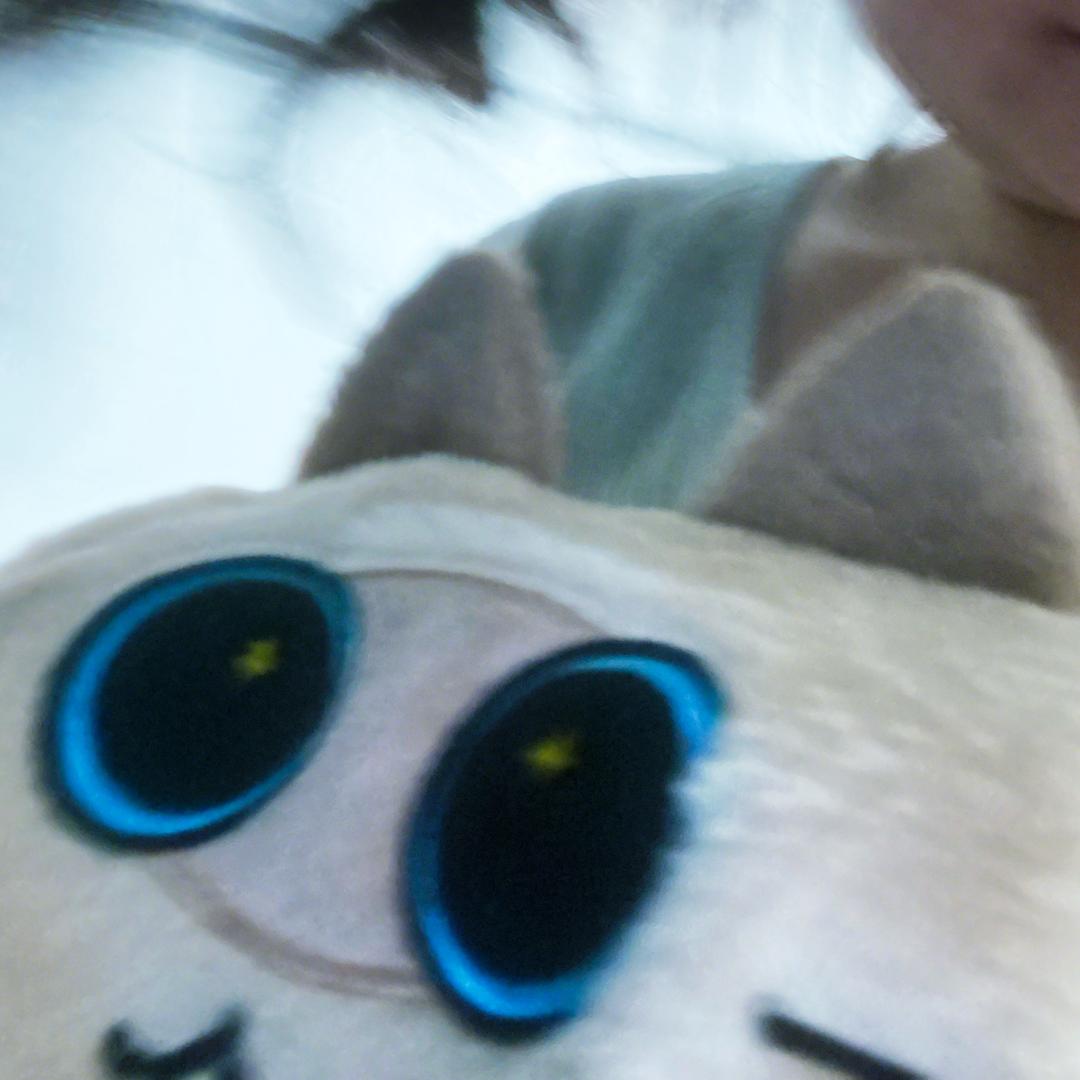 Ovo企鹅