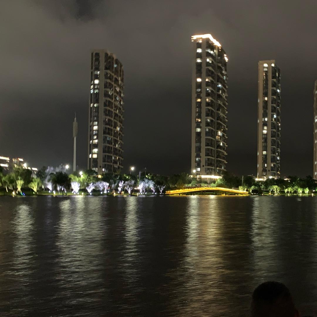 雨夜
