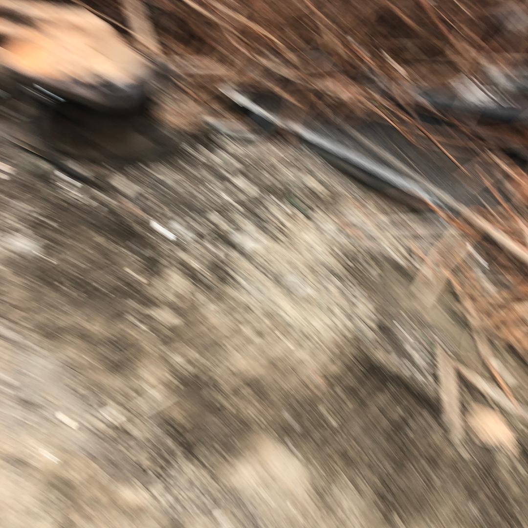 张哥