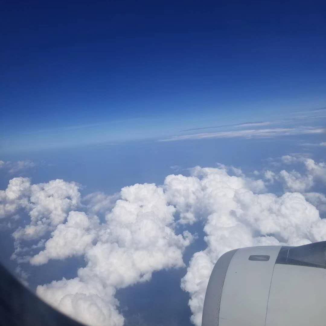 🐝 鑫¹¹⁹⁸🍀