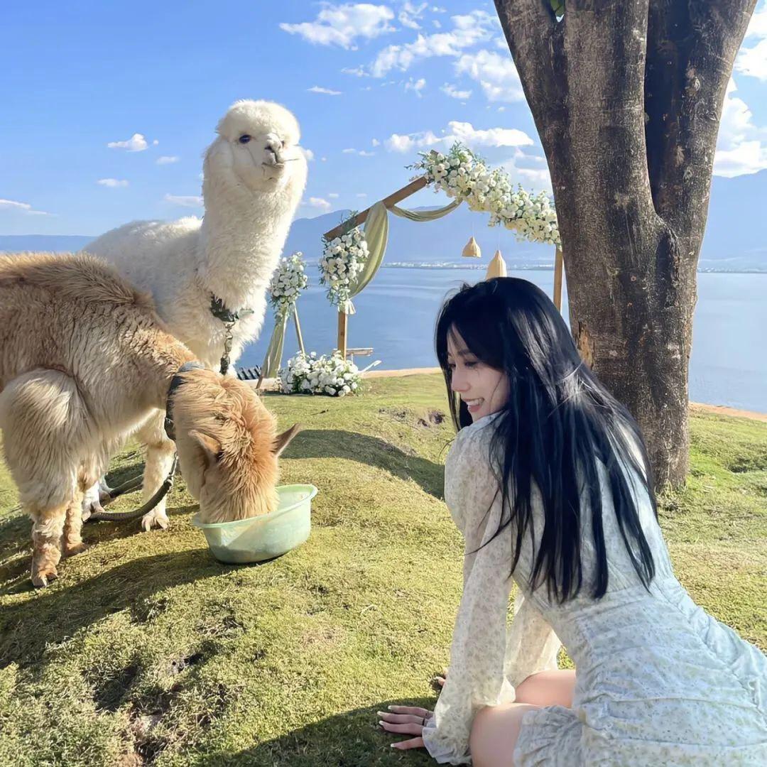 奇欢百货