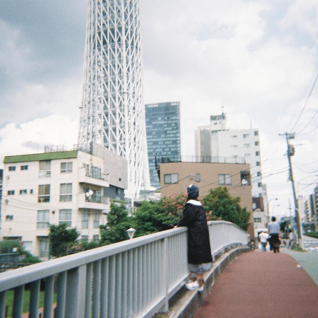 肥鱼真的很爱吃肉🍖