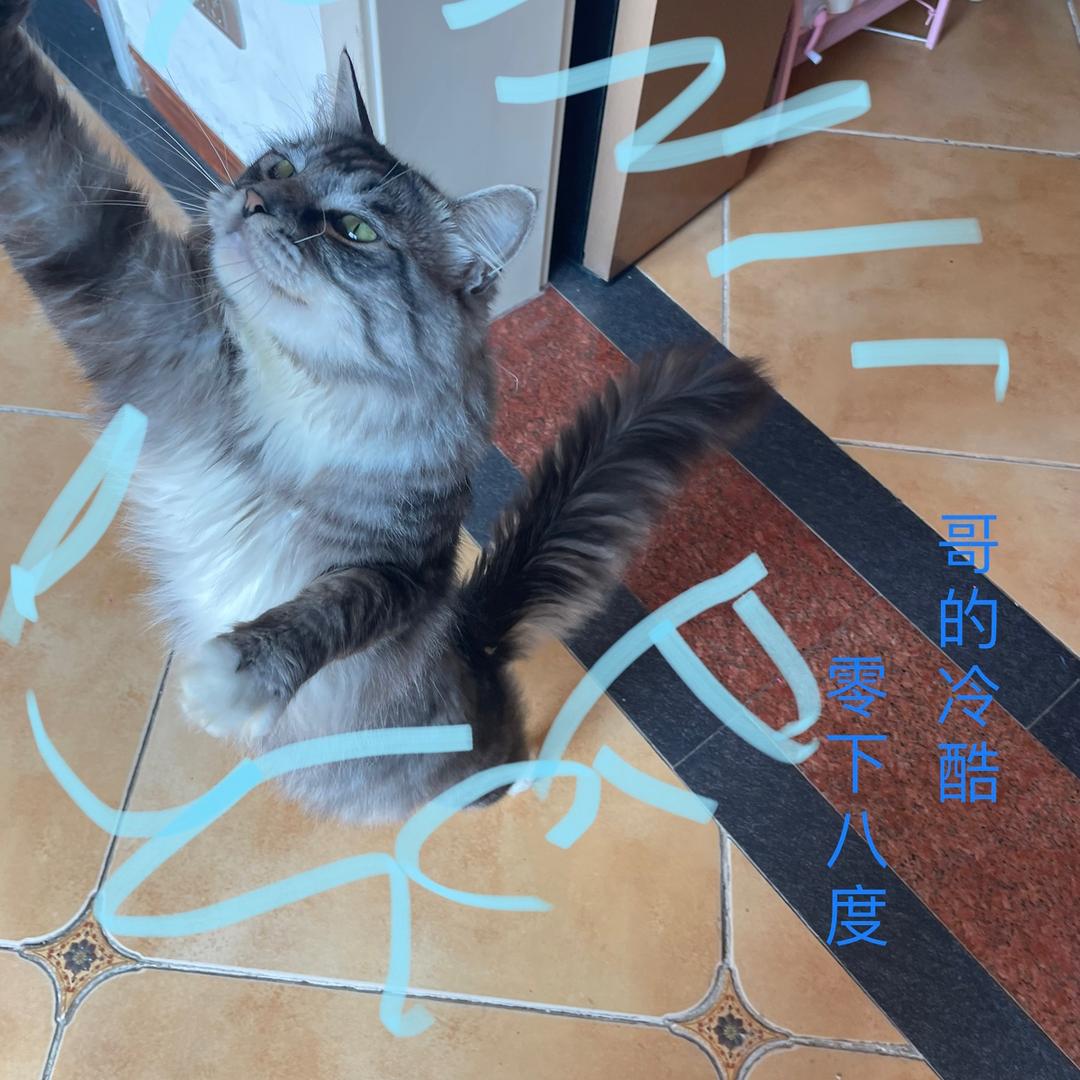 八度哥谷（不可当空调）😒💅