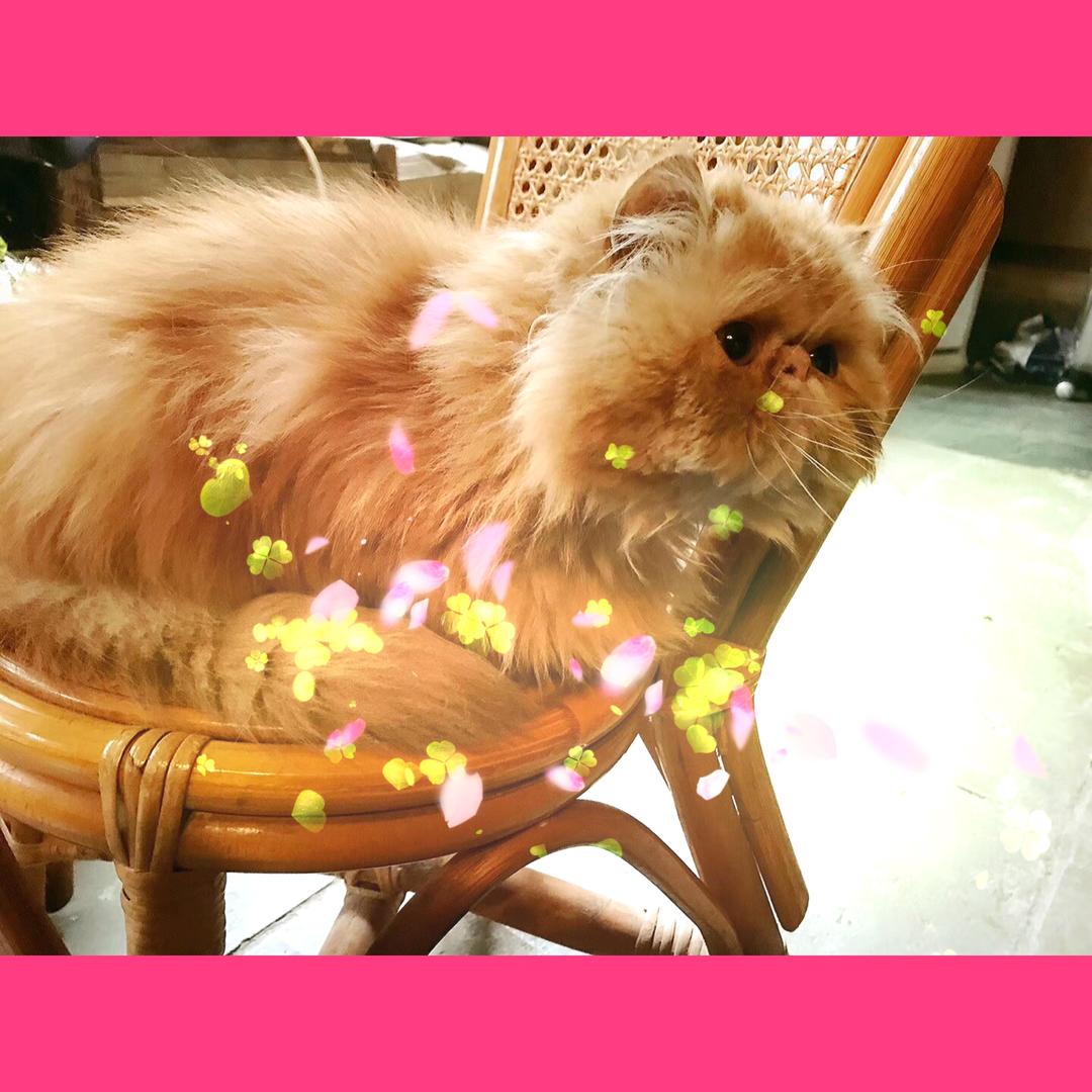 ❤️踏月逐澜赴远山