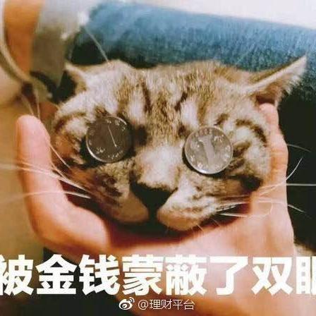 月绒绒✨
