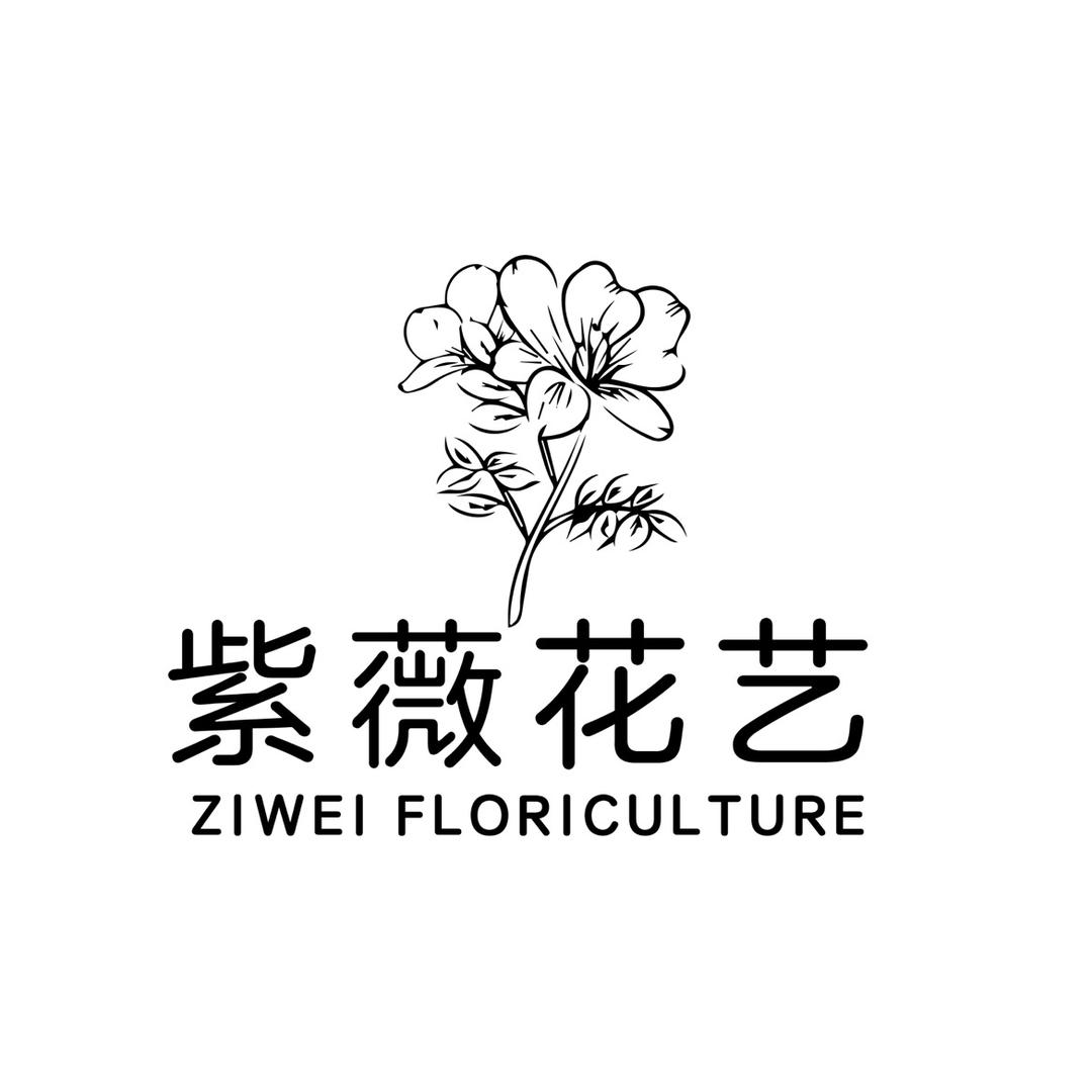 二郎镇 紫薇-花艺工作室