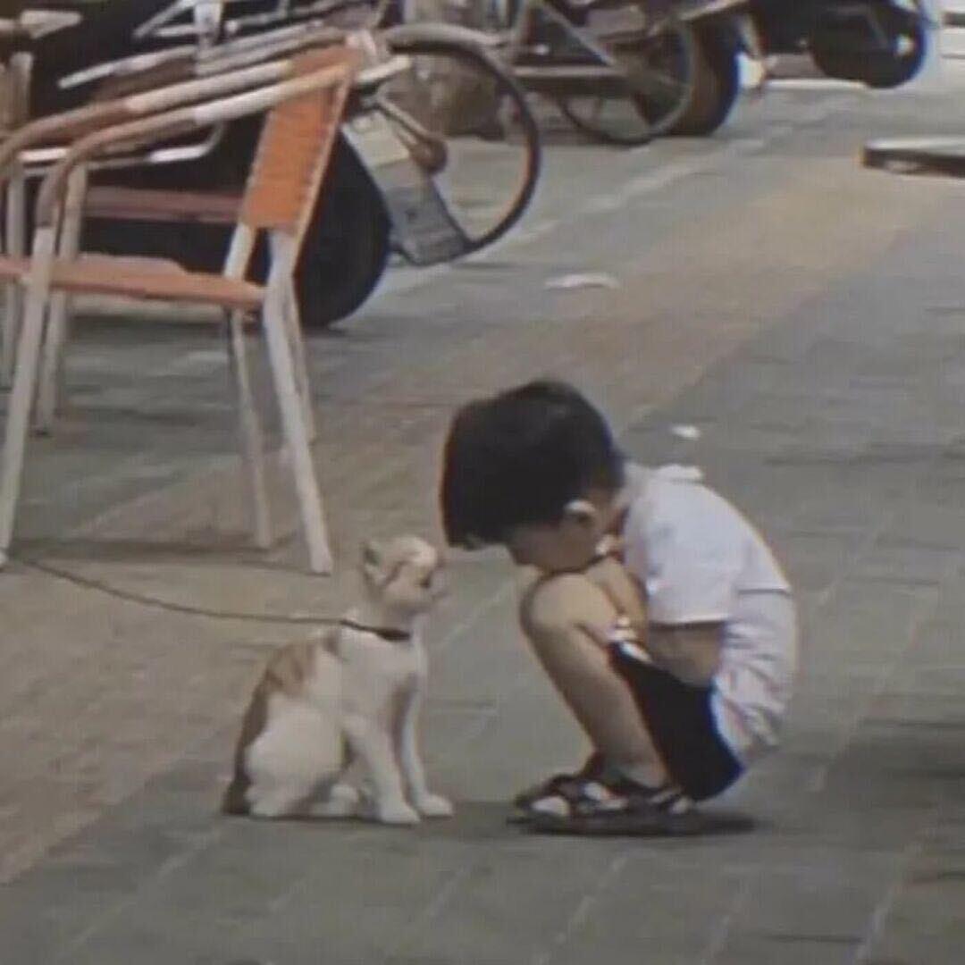 无知者