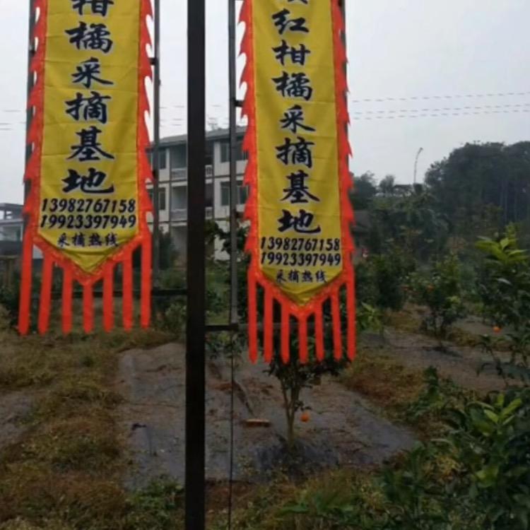 共建农业尧坝红生态农场
