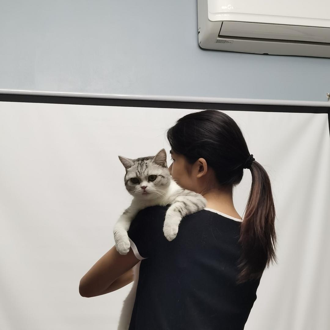 想不到一个好名字