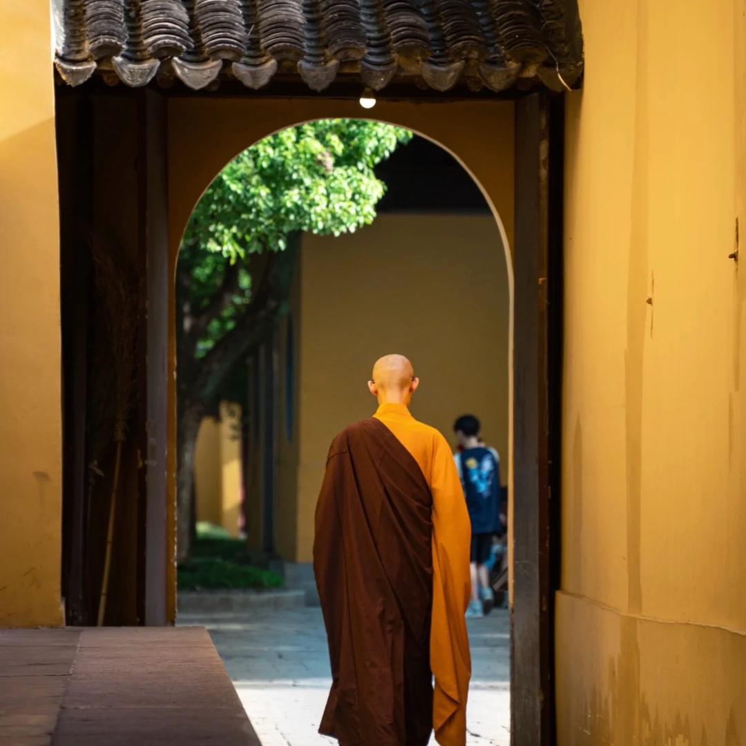 和谐相处的时候