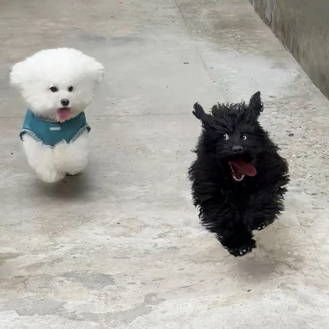 睡个好觉叭