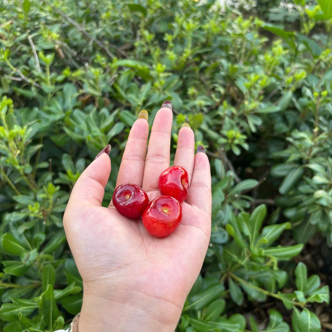我是负婆