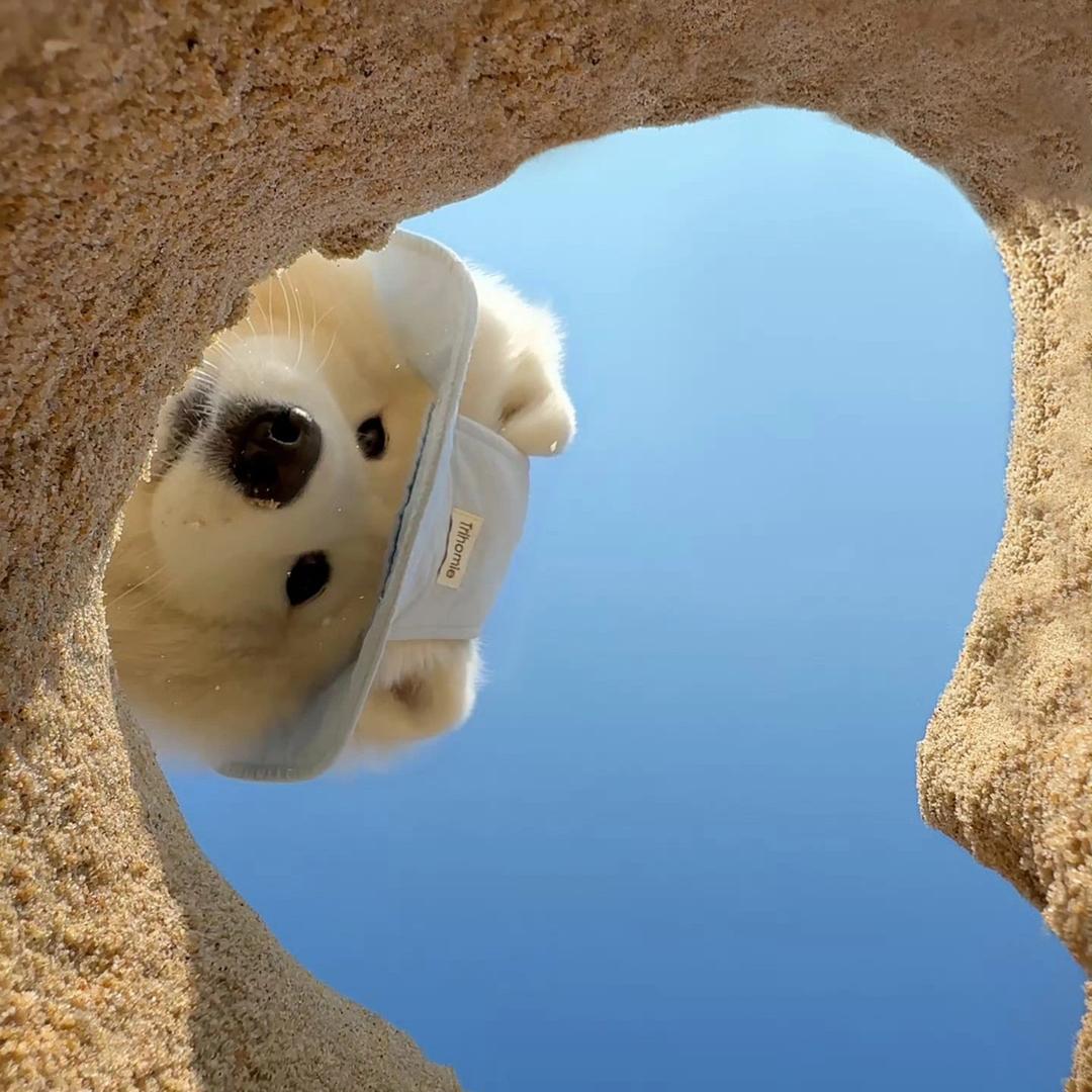 辰河           ╲