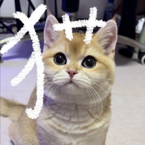 🌈传球差点is
