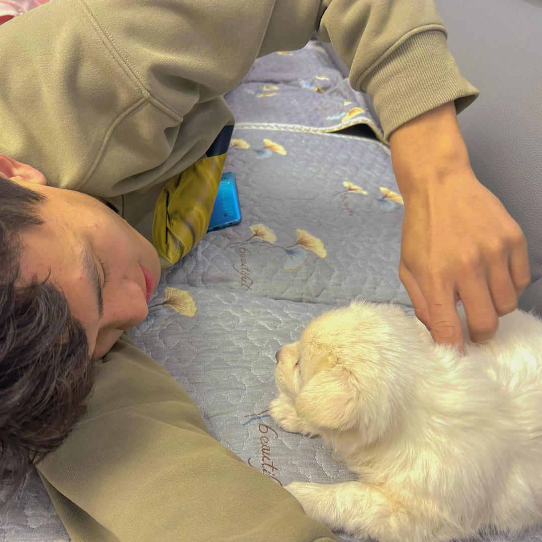金条🐕‍🦺