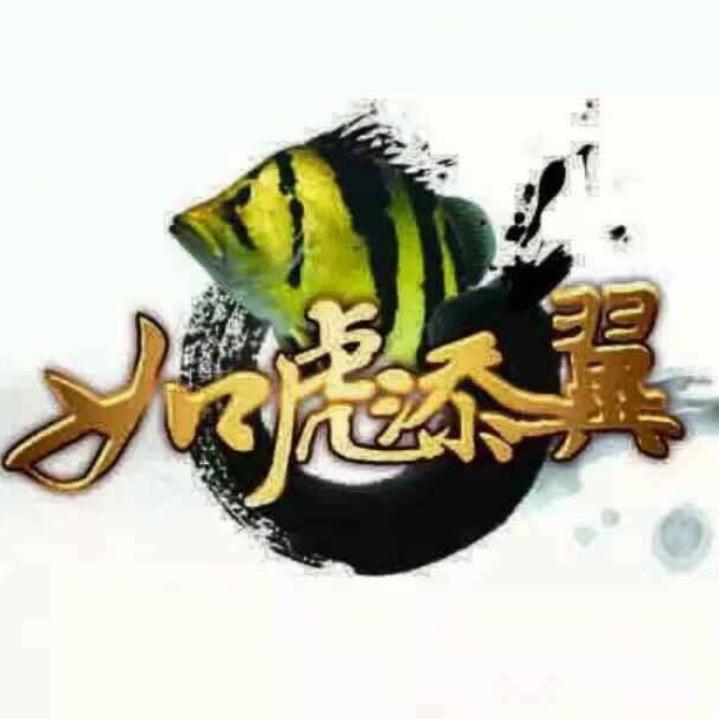 个性龙鱼