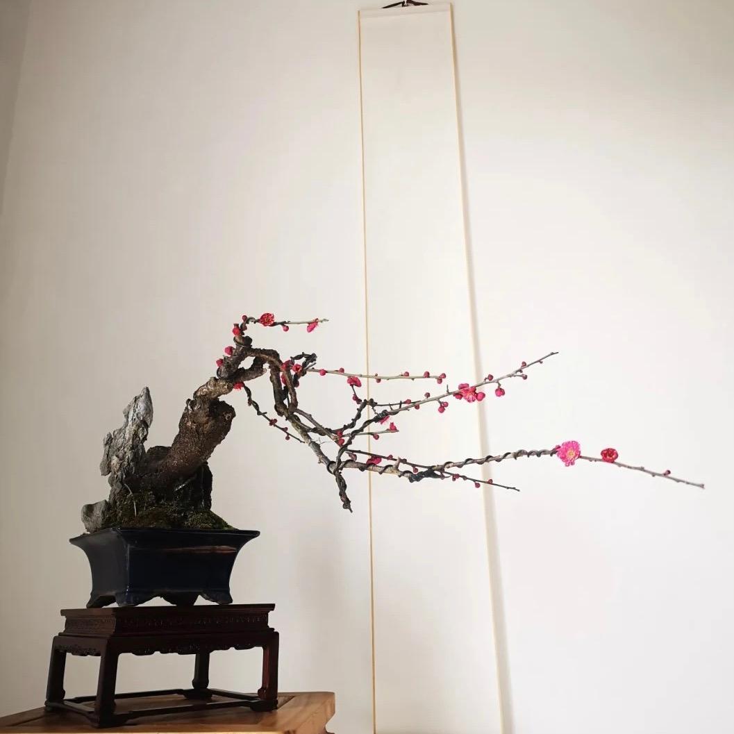 与木一方
