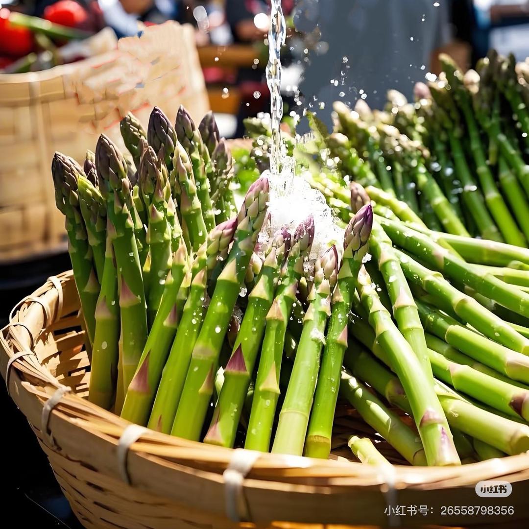 芦笋金蝉养殖基地～沐沐