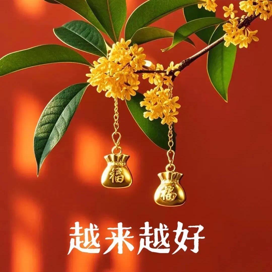 慧心禅语