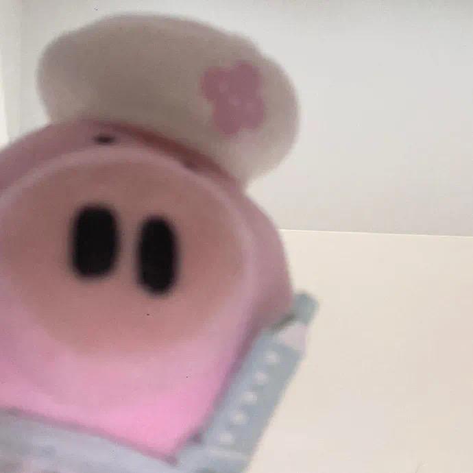 .˃̶͈🐽˂̶͈