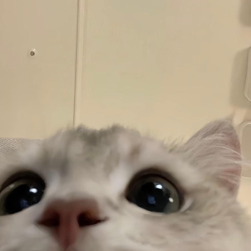 70i🐈