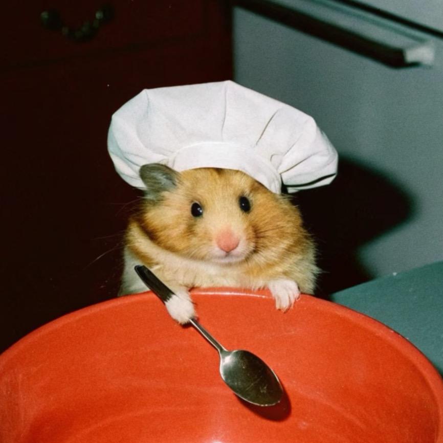老鼠之王🐭