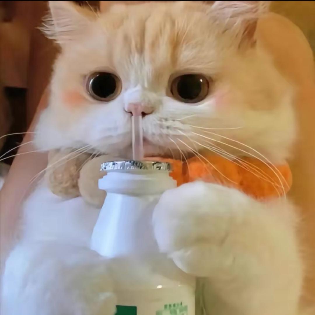 咕噜噜（蛋仔派对）