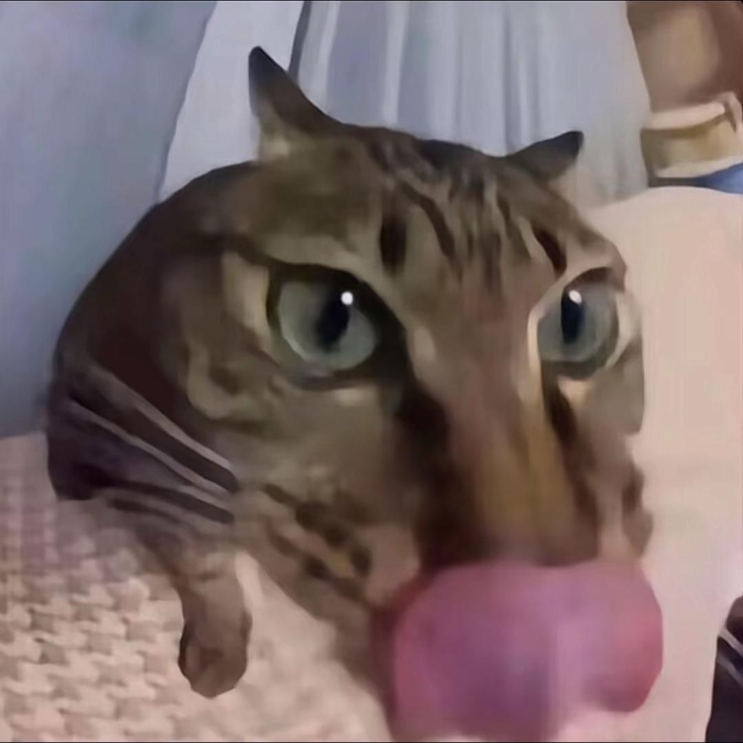 起来学转换重心了