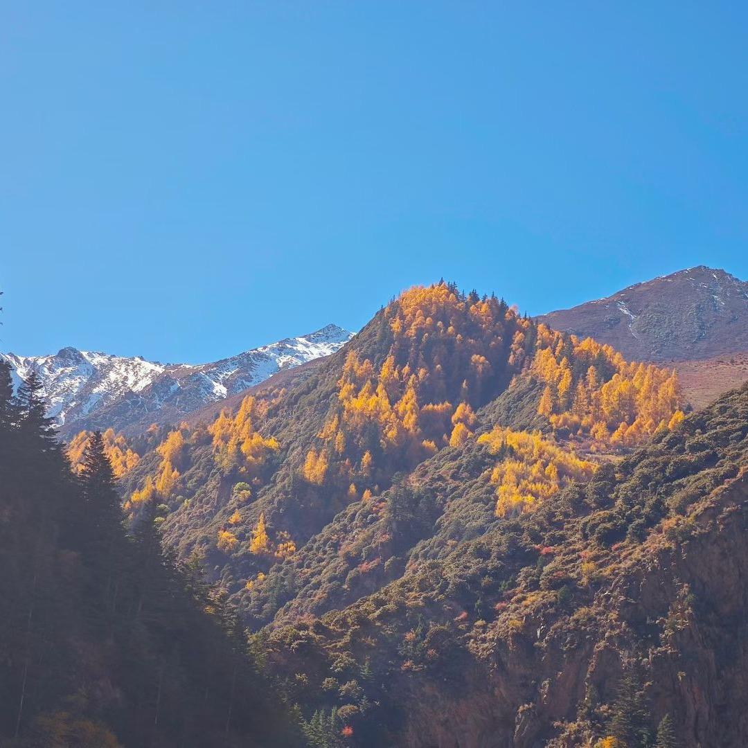 竹野山⛰️居