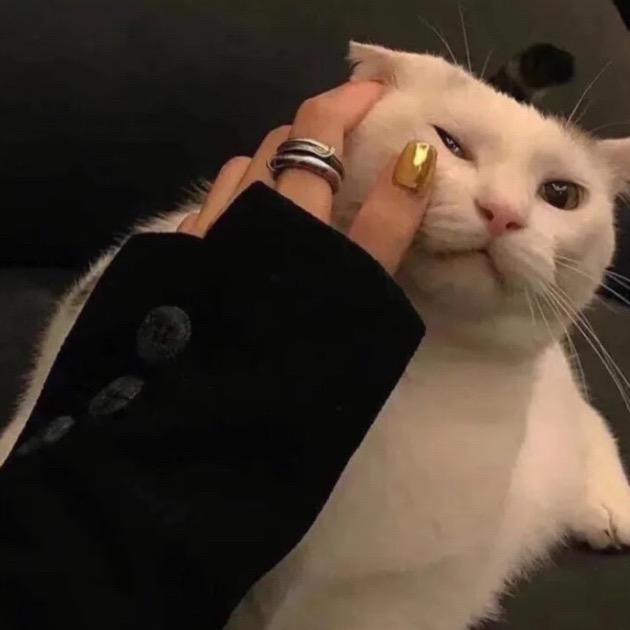 mo。。
