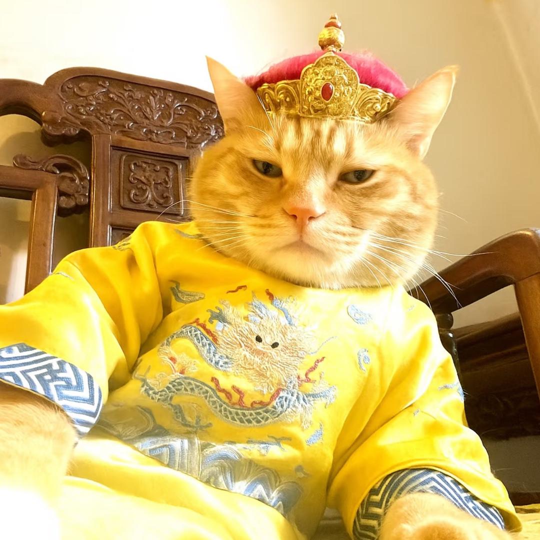 脆皮皇帝👑