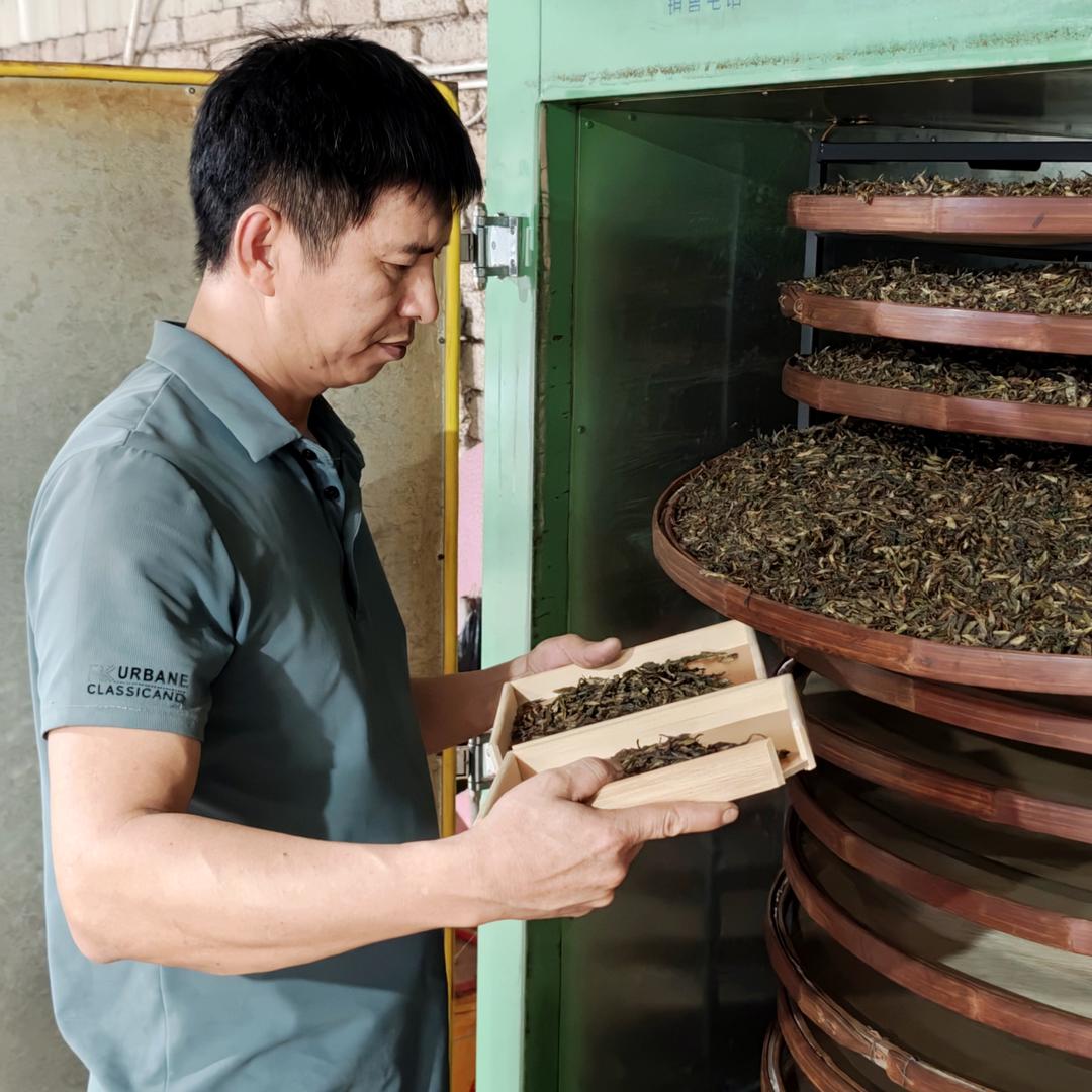 友来单丛茶
