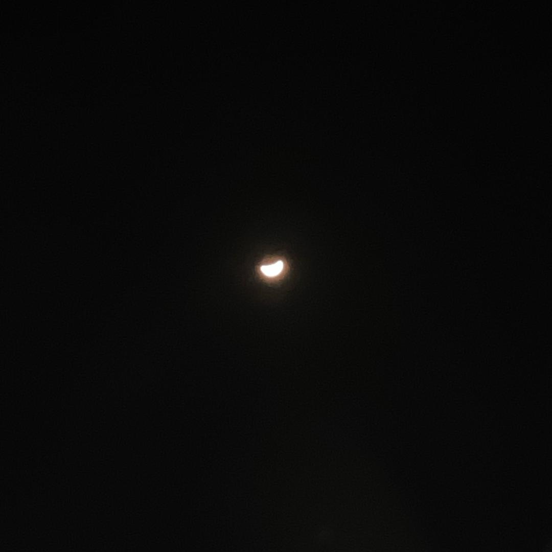 L（薄肌俯卧撑）