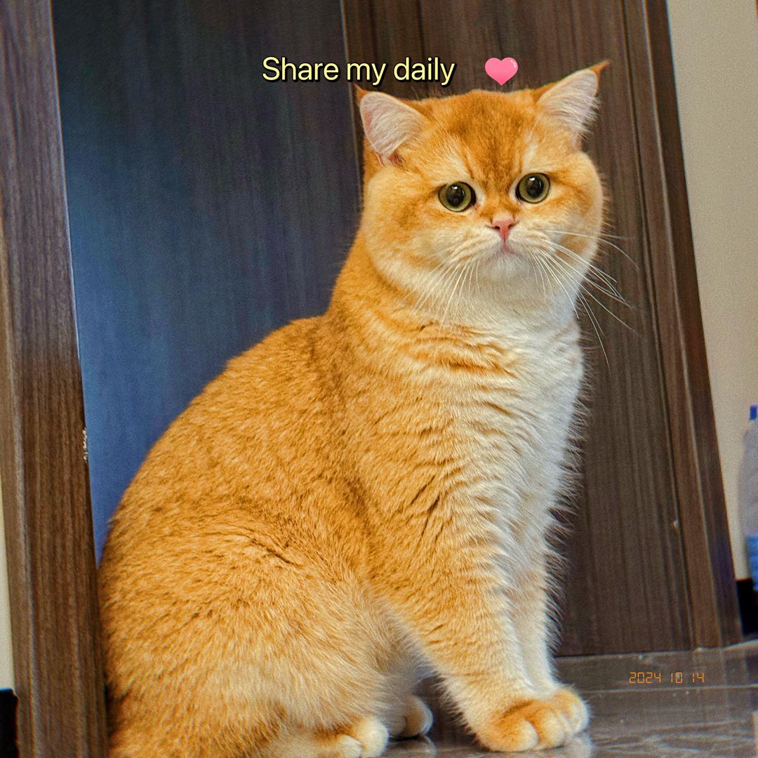 👑💓美宝💜✨