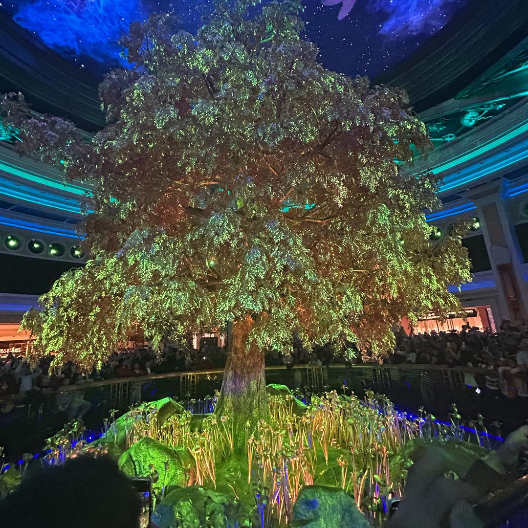 澳门🇲🇴宝枫工程装饰公司