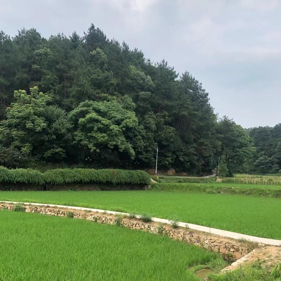 豪豪好好